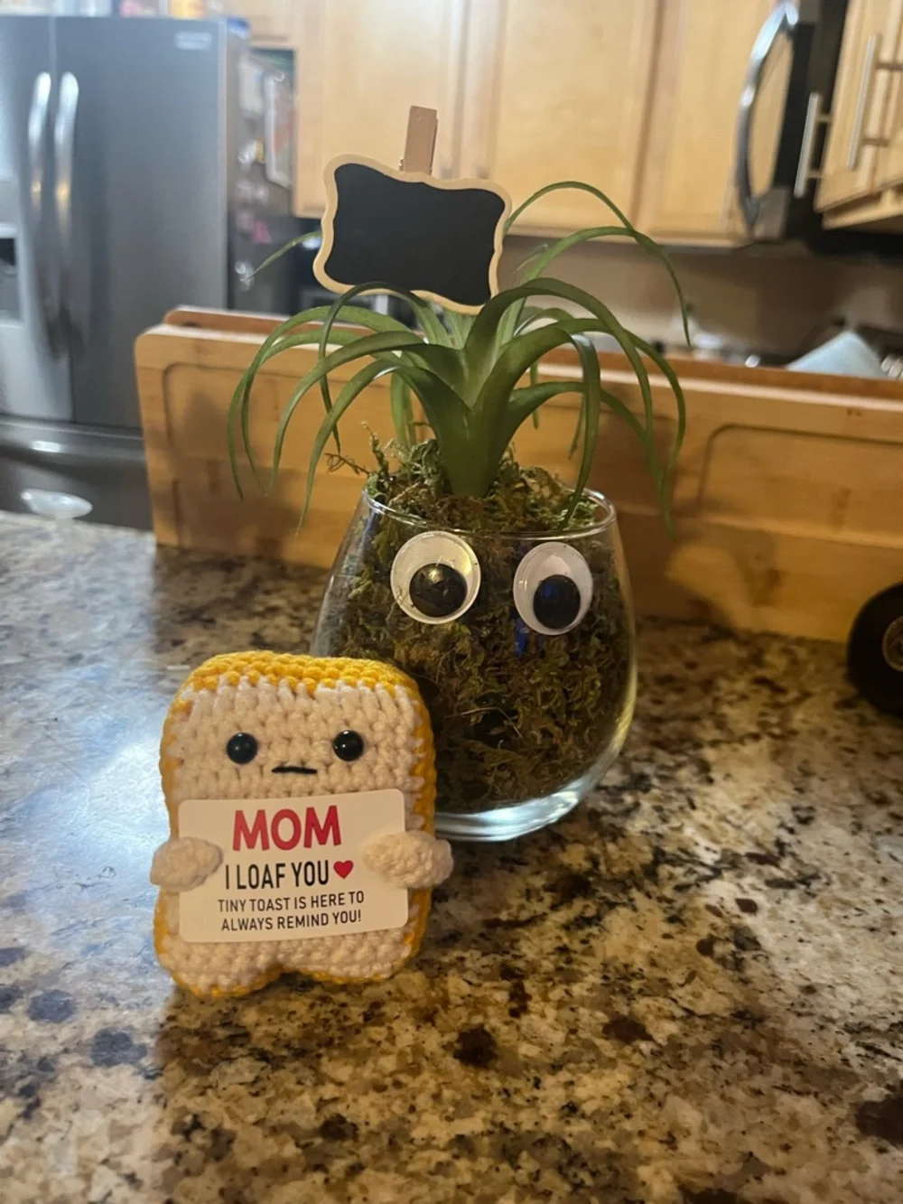 Funny Googly Eye Faux Succulent in Wine Glass •Cute Gift • Desk Decor • Mom Gift